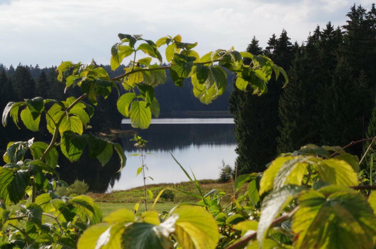 Georgenberg Апартаменты *